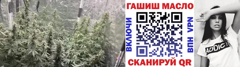 Дистиллят ТГК вейп с тгк  маркетплейс состав  Шумерля 