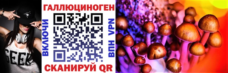 Галлюциногенные грибы Cubensis  купить наркотики сайты  Шумерля 